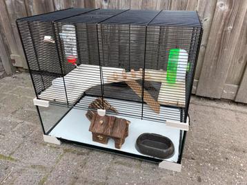 Hamsterkooi 60 x 50 x 40 inclusief toebehoren - compleet beschikbaar voor biedingen