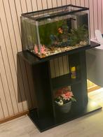 Aquarium tafel b60 /d30/h60 cm, Ophalen, Zo goed als nieuw, Rechthoekig, 50 tot 100 cm