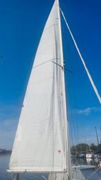 Grootzeil Elfstrom cruising, Watersport en Boten, Ophalen, Gebruikt, 6 meter of meer, Grootzeil