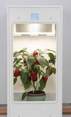 kweek kast mini grow One (2 stuks), Tuin en Terras, Kweekspullen, Ophalen, Zo goed als nieuw, Kweekkast