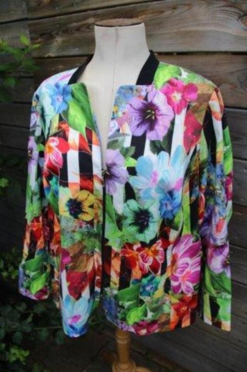 Jasje gekleurd Habella mt 50 Vaste prijs, Kleding | Dames, Grote Maten, Zo goed als nieuw, Jasje of Colbert, Overige kleuren, Ophalen of Verzenden