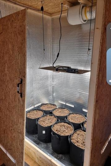 Mooie compacte kweekkast voor binnen beschikbaar voor biedingen
