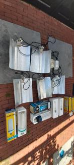 Kweekspullen compleet . Inclusief 4 groeilampen., Ophalen of Verzenden, Gebruikt, Kweeklamp