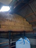 Hooibaaljes en midi balen engrote vierkante pakken hooi, Dieren en Toebehoren, Dierenvoeding, Ophalen of Verzenden, Vee