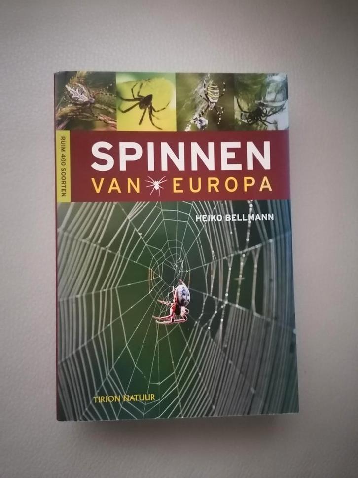 Spinnen van Europa - Heiko Bellmann, Boeken, Natuur, Zo goed als nieuw, Natuur algemeen, Ophalen of Verzenden
