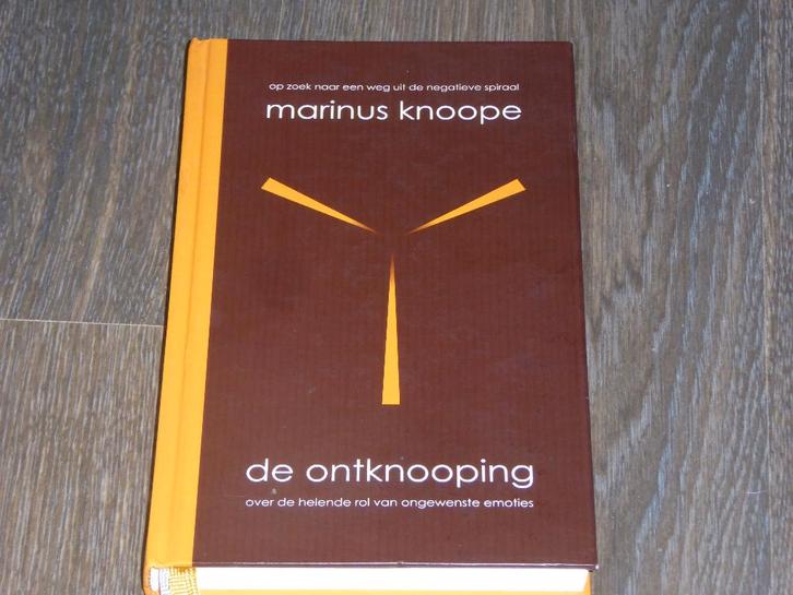 MARINUS KNOOPE - DE ONTKNOOPING, Boeken, Psychologie, Zo goed als nieuw, Cognitieve psychologie, Verzenden