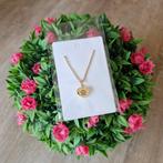 Goudkleurige rvs ketting. 'Hart-Poot', Ophalen of Verzenden, Zo goed als nieuw, Goud, Overige materialen