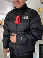 The North Face winter jas, Ophalen of Verzenden, Nieuw