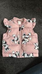 Minnie mouse bodywarmer maat 68, Ophalen, HM, Meisje, Zo goed als nieuw