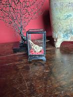 Vintage vitrine met vogel schedels, Ophalen of Verzenden, Vogel, Schedel