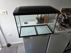 (Aquarium)/terrarium, Ophalen of Verzenden, Gebruikt, Leeg aquarium
