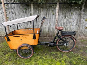 Vogue carry 3 bakfiets beschikbaar voor biedingen