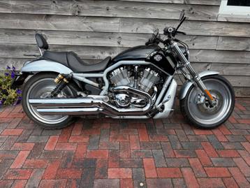 Harley davidson v-rod beschikbaar voor biedingen
