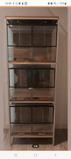 6 glaze terrariums op stelling, Ophalen