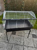 Kooi te koop, moet zo snel mogelijk weg!, Dieren en Toebehoren, Ophalen, Kooi, 60 tot 90 cm, Zo goed als nieuw