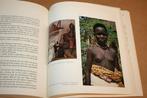 Leven, ziekte en dood in Afrika - Gedachten over niet-west.., Ophalen of Verzenden, Gelezen