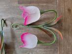 Tulpen van glas, Huis en Inrichting, Woonaccessoires | Wanddecoraties, Ophalen of Verzenden