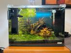 Fluval complete set +/-  35x32x30cm, Ophalen, Zo goed als nieuw, Leeg aquarium