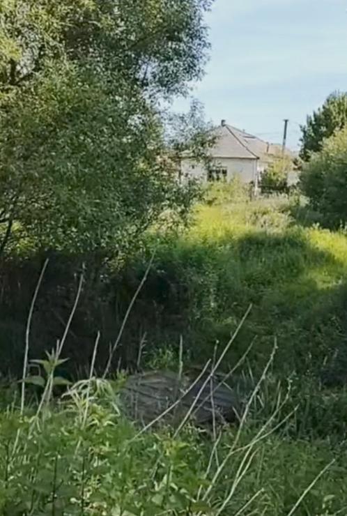 Reisgenoot gezocht m/v, Contacten en Berichten, Reisgenoten en Carpoolers