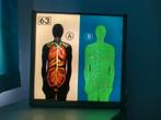Opticart van Carl Weigang, platen x 15, Ophalen, Natuur en Biologie