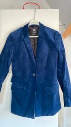 G-star velours hasje maat s, Kleding | Dames, Ophalen of Verzenden, Zo goed als nieuw, Maat 38/40 (M)