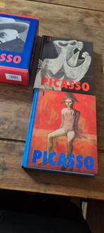Picasso Naslagwerken - Complete Collectie, Boeken, Ophalen of Verzenden, Zo goed als nieuw, Overige onderwerpen, Picasso