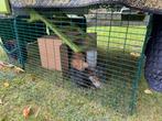 De ren voor Omlet eglu cube MK1 2m2, Dieren en Toebehoren, Ophalen, Zo goed als nieuw, Metaal, Vogelkooi