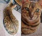 Herplaatser Bengaal🐆⭐️fokrecht of als gezelschapsdier, Dieren en Toebehoren, Katten en Kittens | Raskatten | Korthaar, Poes