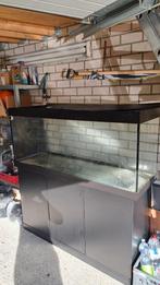 Juwel rio 450 L, Ophalen, Gebruikt, Leeg aquarium