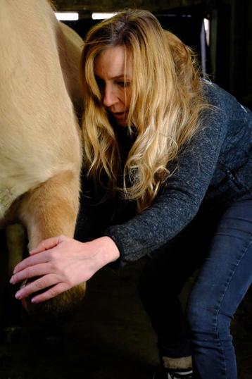Paarden massage, guasha, Roodlichttherapie, Equery  beschikbaar voor biedingen