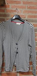 vest dames setterlaine maat 44, Kleding | Dames, Ophalen of Verzenden, 'T Olde Gre-j, Info@toldegrej.nl, Endepoelstraat 20f Didam