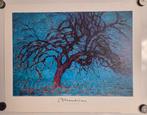 Mondriaan. Kleine poster. Rode boom., Antiek en Kunst, Kunst | Litho's en Zeefdrukken, Ophalen of Verzenden