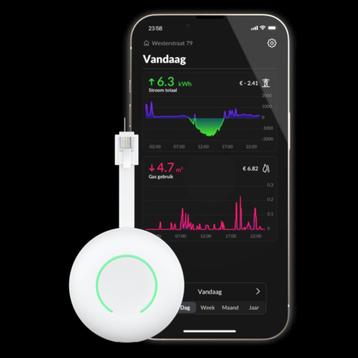 P1---Meter voor stroomverbruik beschikbaar voor biedingen