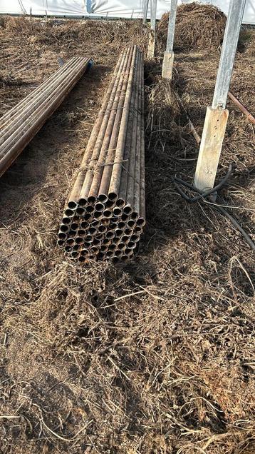 Stalen buis tuin paal 51mm 2mm dikwandig beschikbaar voor biedingen