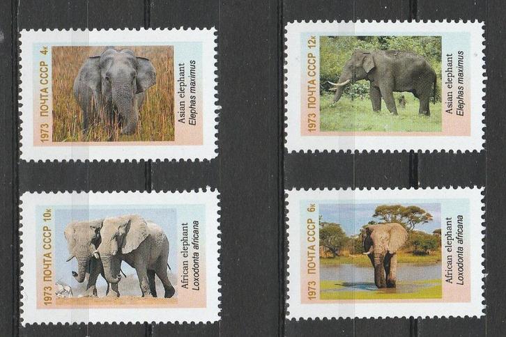 OLIFANTEN-ELEPHANTS = Mooie sv4st NOYTA-CCCP-3010-24, Postzegels en Munten, Postzegels | Thematische zegels, Postfris, Dier of Natuur