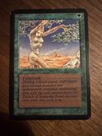 Shanodin Dryads - Alpha, Hobby en Vrije tijd, Verzamelkaartspellen | Magic the Gathering, Ophalen of Verzenden, Zo goed als nieuw