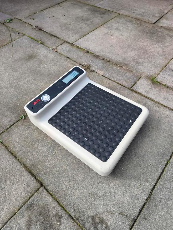 Medische Weegschaal - Seca 200kg, Witgoed en Apparatuur, Weegschalen, Gebruikt, Digitaal, Personenweegschaal, 1 tot 500 gram, 100 kg of meer