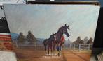 Schilderij van Paarden - Onbekende Kunstenaar, Antiek en Kunst, Kunst | Schilderijen | Klassiek, Ophalen of Verzenden
