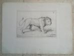 1) Receuïl de Lions - gravés B.Picart 1729 - Rembrandt (18x), Ophalen of Verzenden