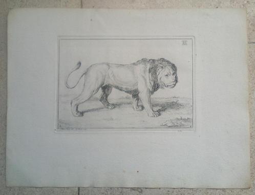 1) Receuïl de Lions - gravés B.Picart 1729 - Rembrandt (18x), Antiek en Kunst, Kunst | Etsen en Gravures, Ophalen of Verzenden