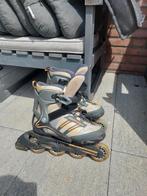 Skeelers maat 36, Sport en Fitness, Skeelers, Ophalen, Gebruikt, Inline skates 4 wielen, Overige merken