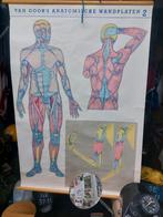 Oude Educatieve Platen, Ophalen