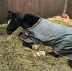 Horseware Amigo Deken Hero 600D Lite 0g Ripstop 5.3 110-160, Dieren en Toebehoren, Ophalen of Verzenden, Zo goed als nieuw, Deken