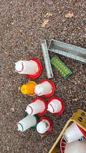 Drink- en voerbakken kippen beschikbaar voor biedingen