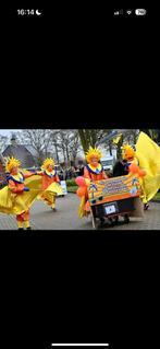 Zonnegodin carnavals pakken, Ophalen of Verzenden, Jongen of Meisje