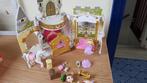 Kasteel met prins en prinses, Ophalen of Verzenden, Zo goed als nieuw, Poppenhuis