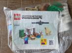 Lego 21251, Kinderen en Baby's, Speelgoed | Duplo en Lego, Ophalen of Verzenden, Zo goed als nieuw