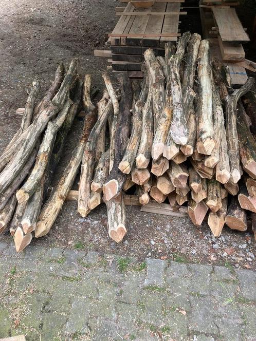 Te koop robinia weipalen, Tuin en Terras, Tuinhekken en Hekwerk, Nieuw, Tuinhek, Hout, Ophalen of Verzenden