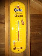 thermometer, Ophalen of Verzenden, Gebruikt