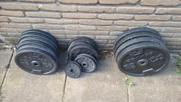 Halterschijven en Halterstang | Barbell & Plates Homegym beschikbaar voor biedingen